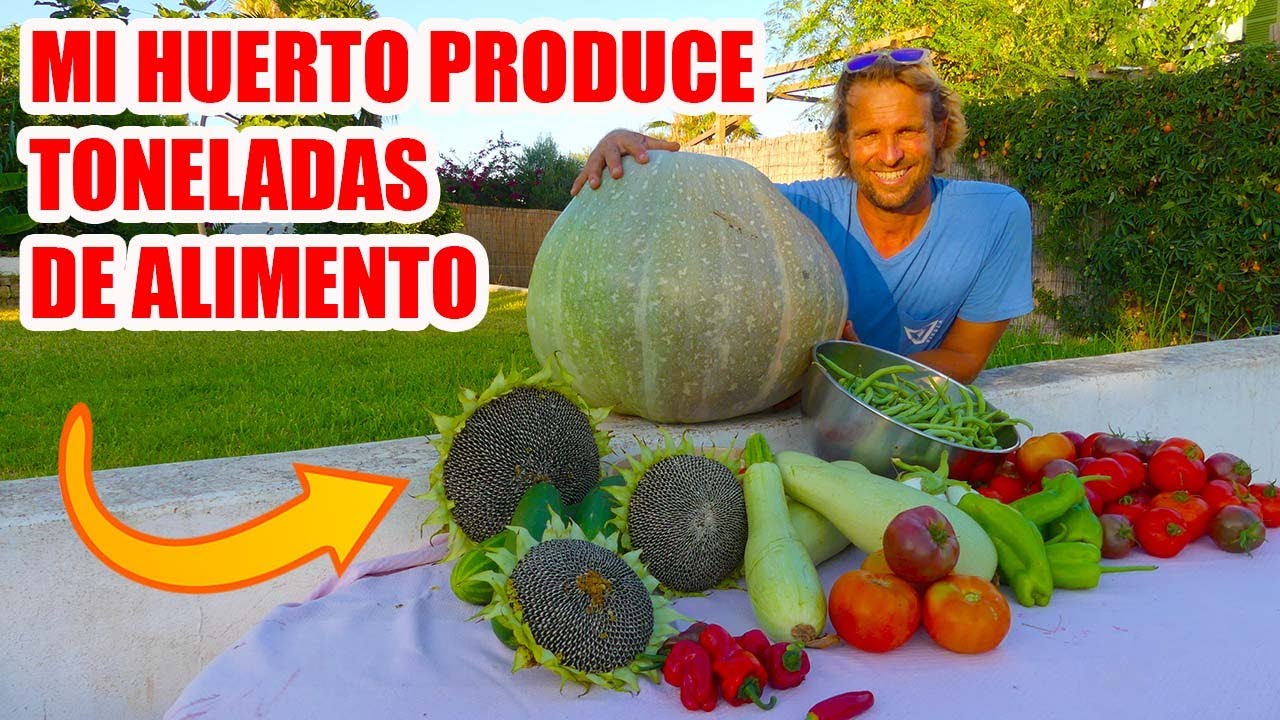 SI es Posible ser AUTOSUFICIENTE || Todo 1 año sin COMPRAR