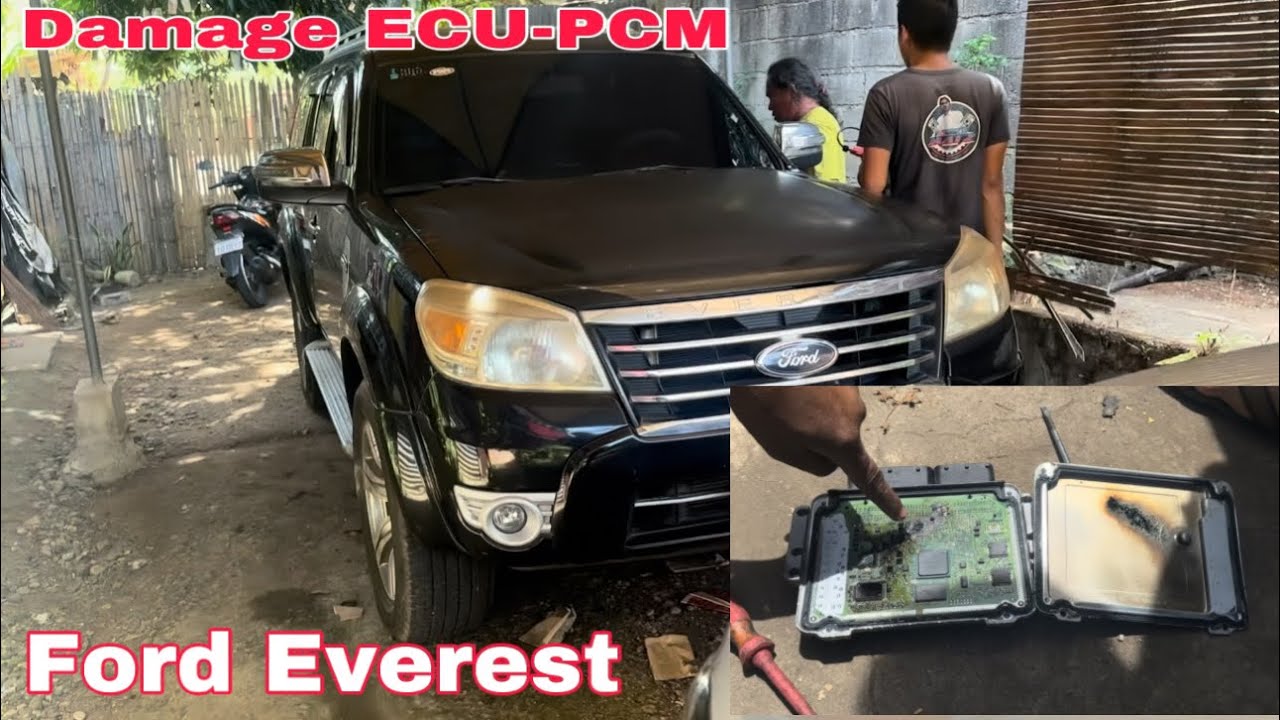 Ford Everest Damage ECU how to Diagnose and Solve