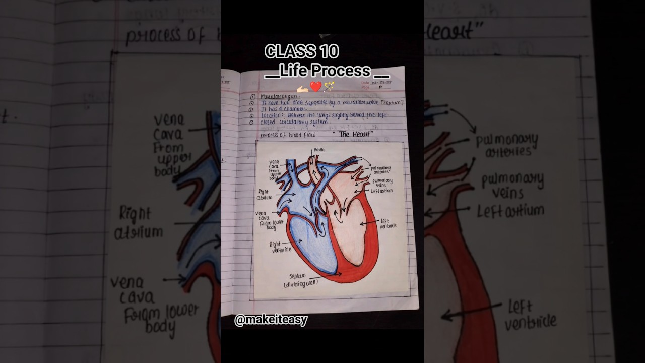 class 10 Biology notes ✨🫶🏻