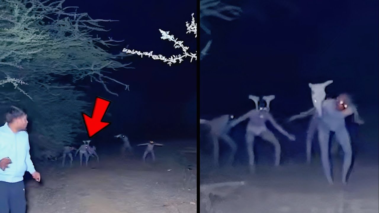 【百鬼夜行】冥場面終究抵不過嫌命長敬業探險家？！ | 非常人類