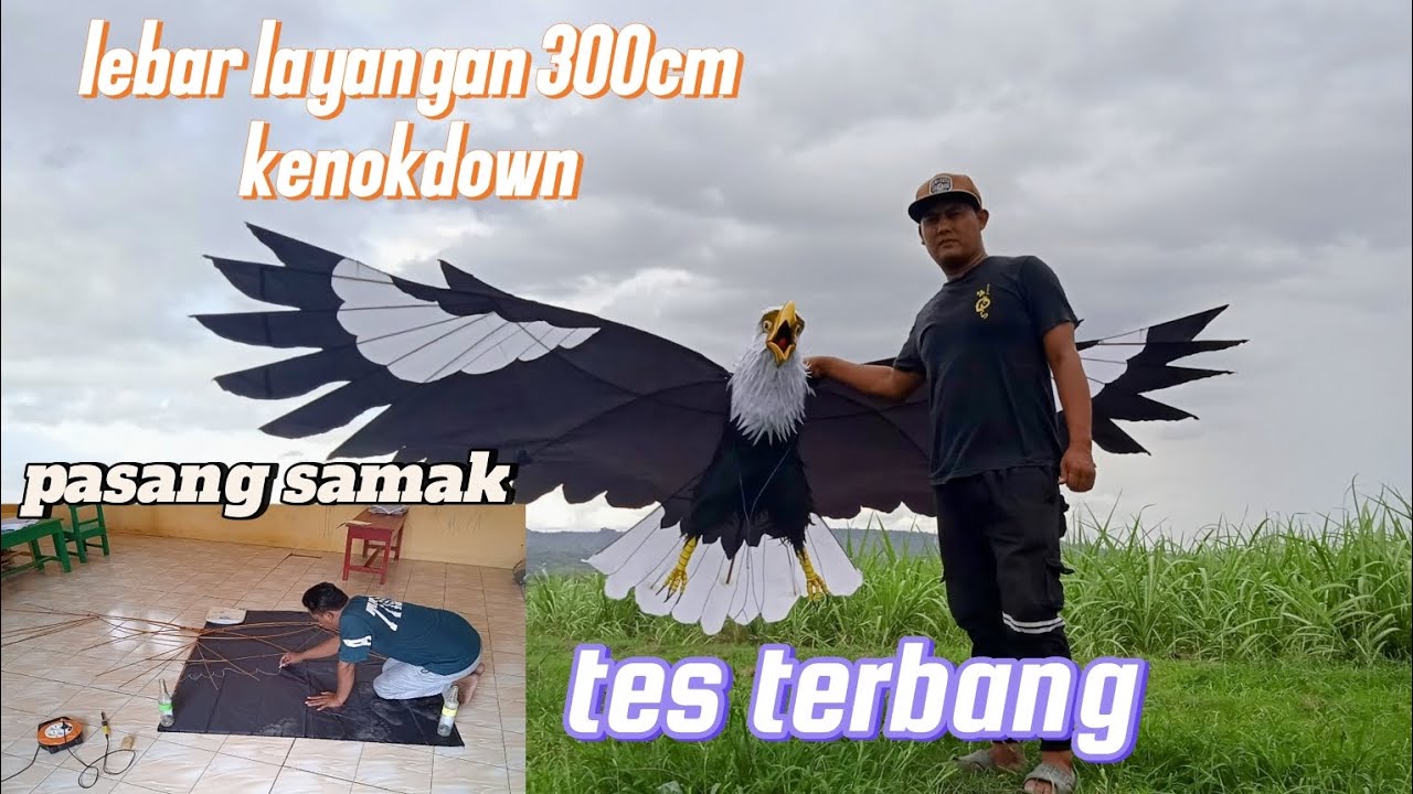 tutorial pasang samak layangan burung elang.lebar layangan 300cm