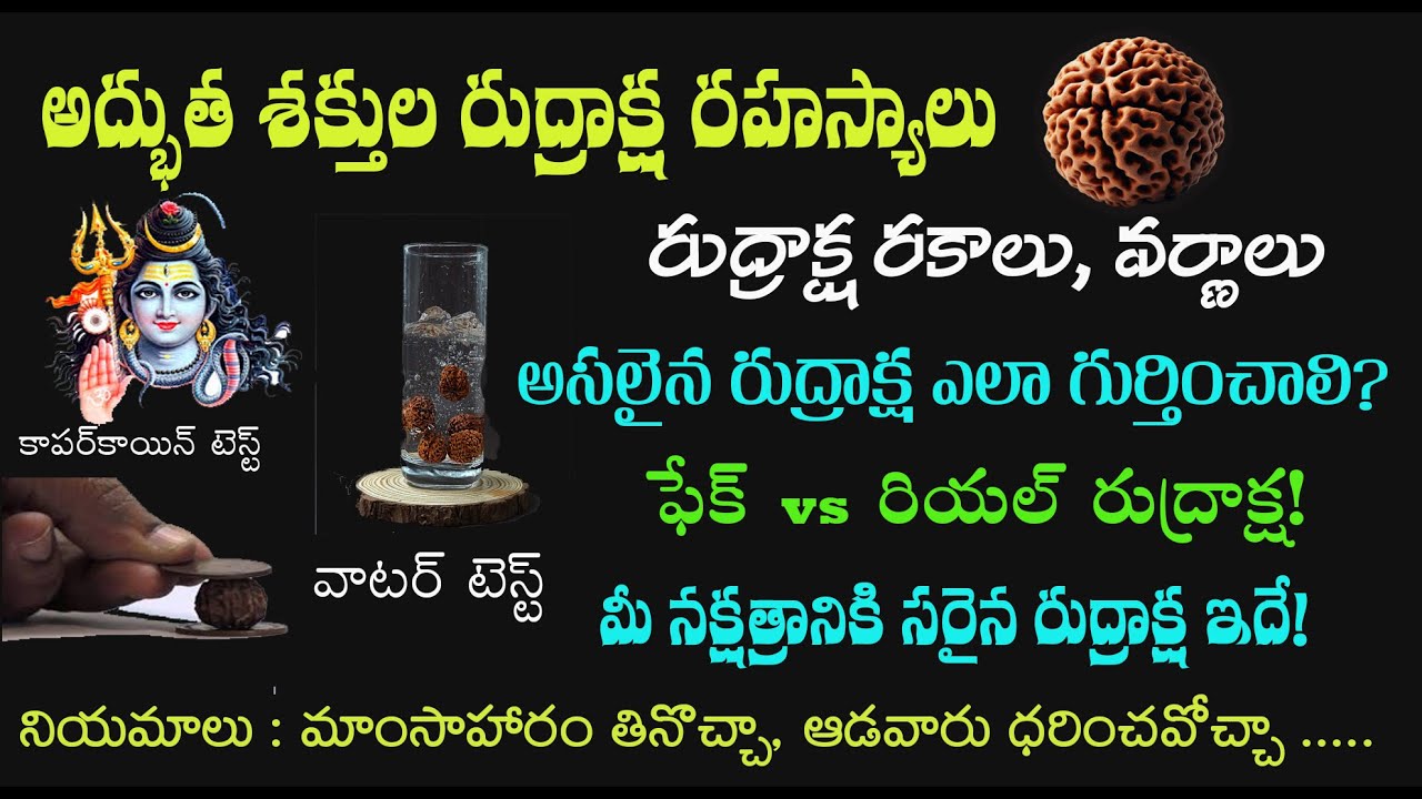 5 రుద్రాక్ష సీక్రెట్స్ ఎవరూ మీకు చెప్పరు |Interesting Facts About Rudraksha| Find Fake or Real