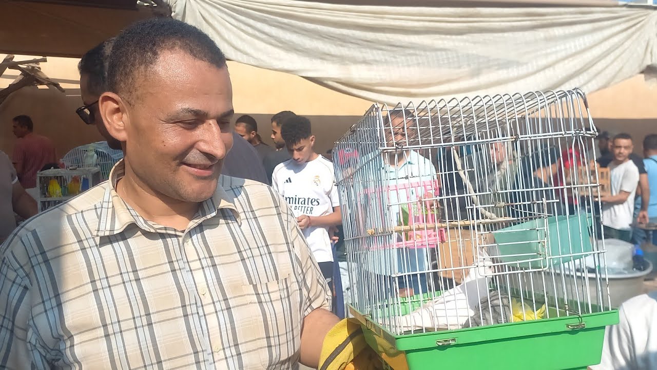 مفاجأة سوق الأحد ⁉️سوق حد يختلف عن اللي فاتوا⁉️