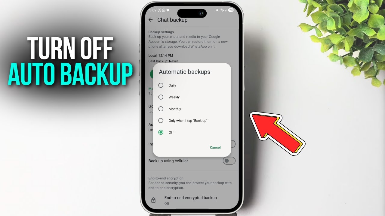Как отключить автоматическое резервное копирование в WhatsApp