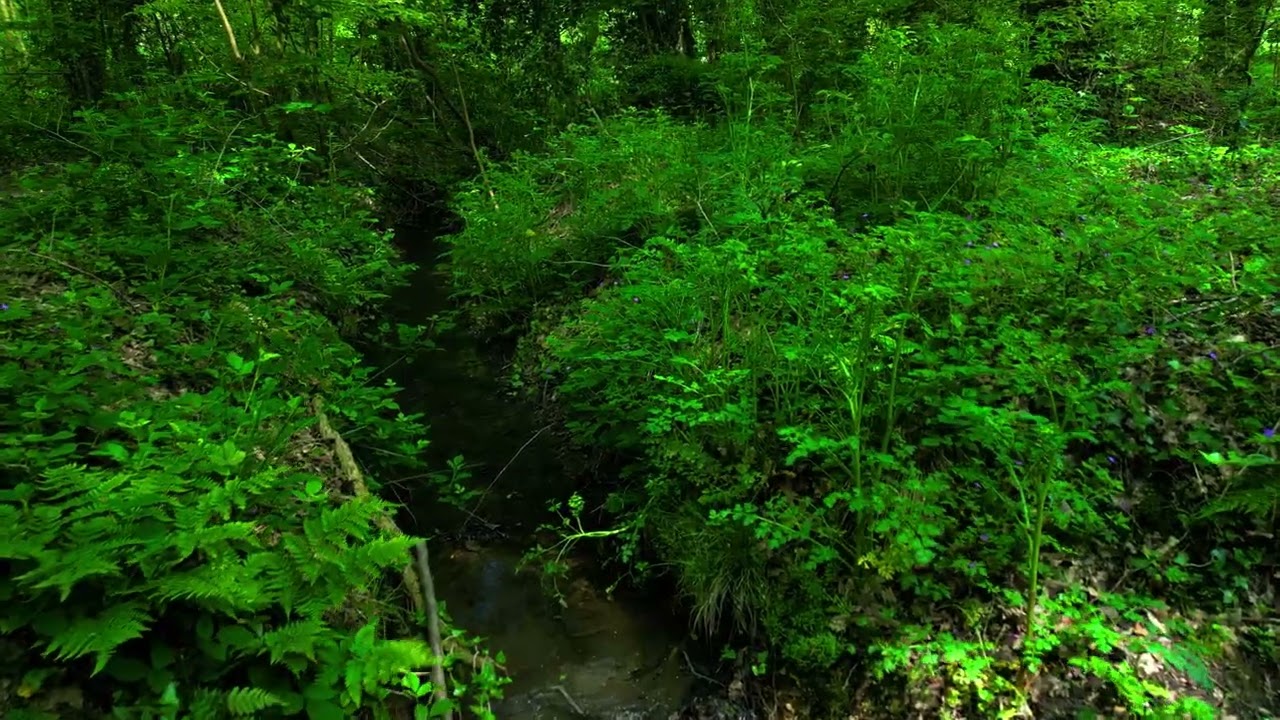 DJI AVATA 2/ The Art of Flow