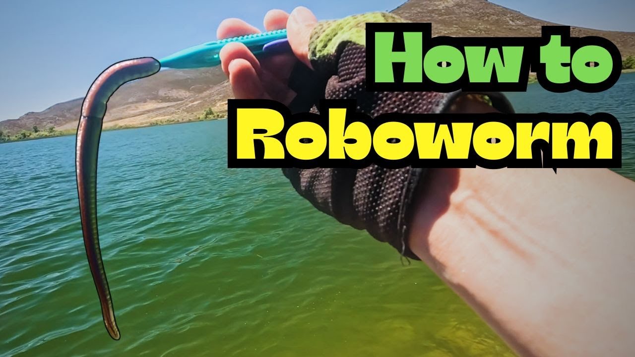 Long Worms in the Heat of Summer &ndash; 7&rdquo; Roboworm Action!
