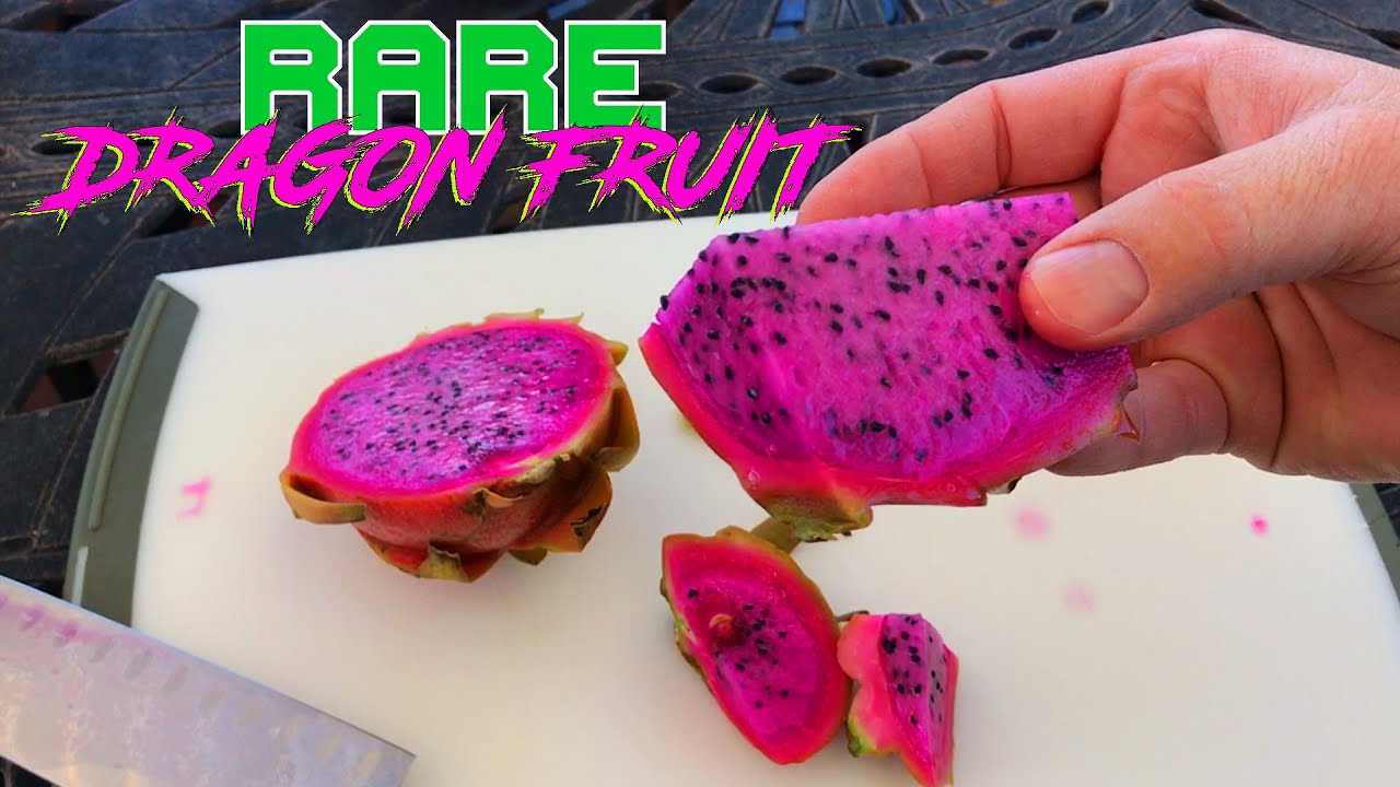 Tasting Physical Graffiti DRAGON FRUIT ( It's Amazing )