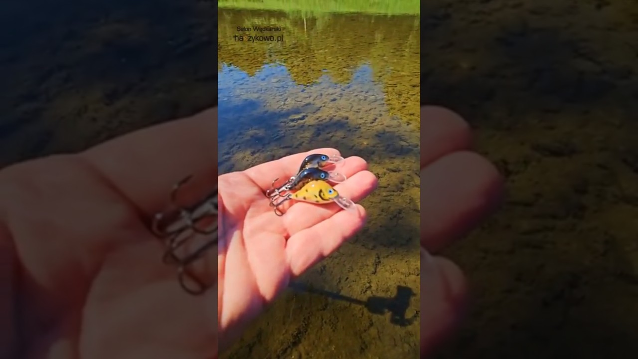 Woblery krąp marki JR Janusz Ryczkowski charakteryzuje się r&oacute;wnie agresywną pracą i przeznaczeniem.💪