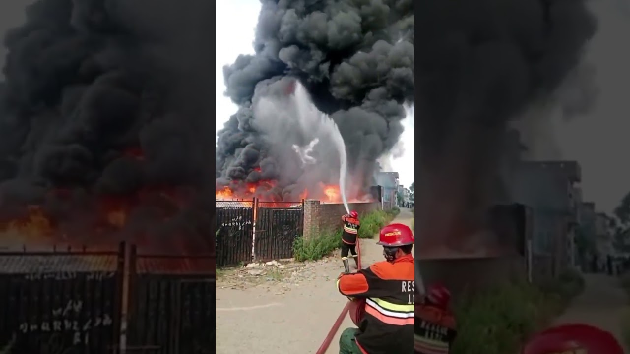 Fire Breaks Out in Vacant Plot | Rescue Operation Underway