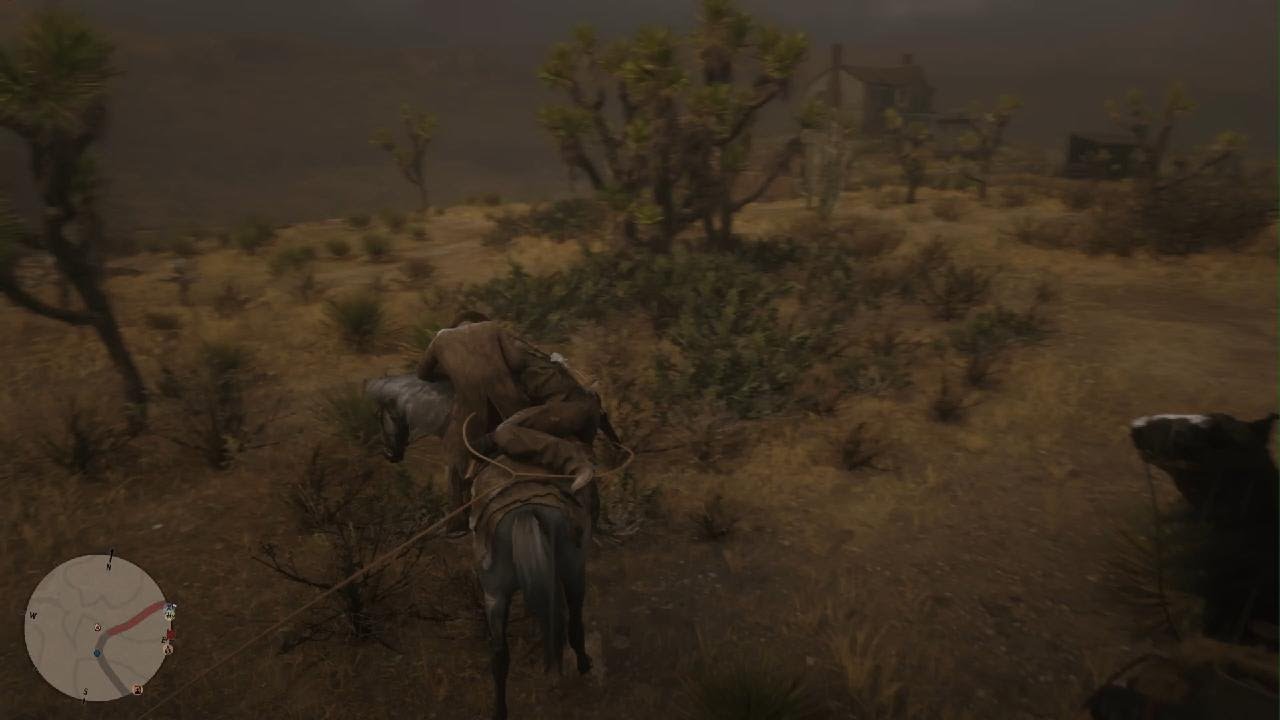 Payback for kindness in RDR2 online 🤠🤙 You can revive another player's horse!