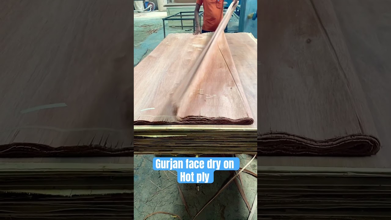 Gurjan face dry on hot ply #plywood #knowledge #shorts #face #dry #plyboard #doors #bestdoor #best