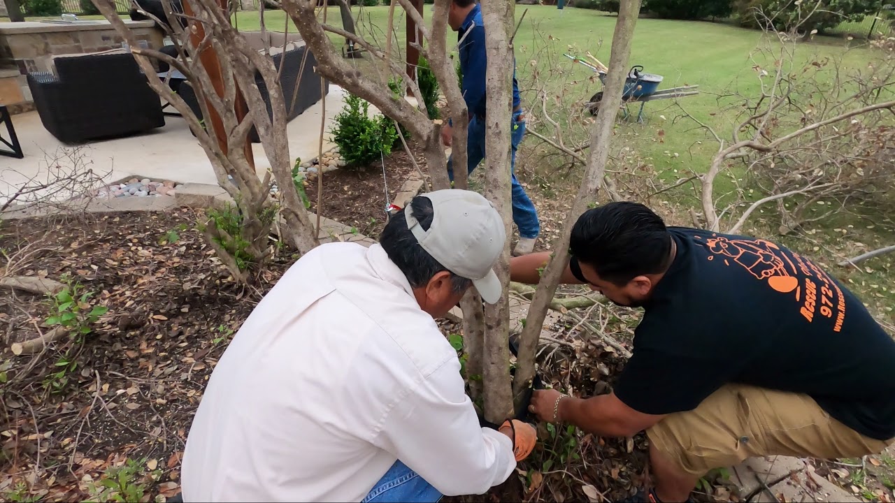 Sacando Tronco de arbustos con un cabrestante (winch) electrico de 1500 libras de capacidad