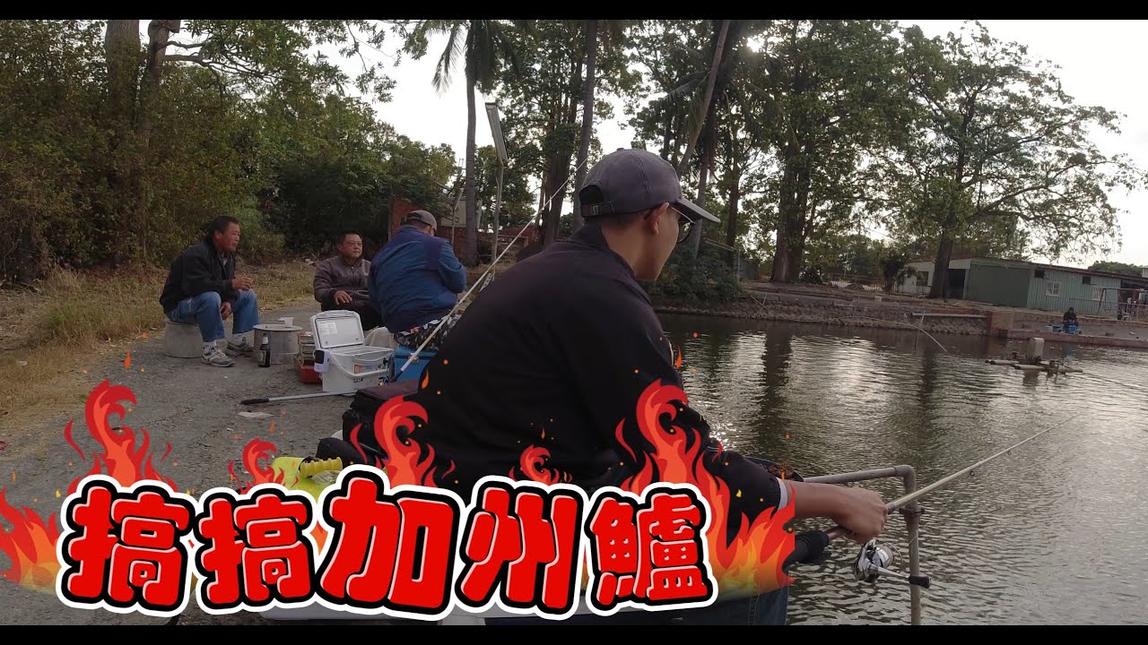 【水上交流道海釣場】釣不到黑格，改釣加州鱸跟紅杉止癢