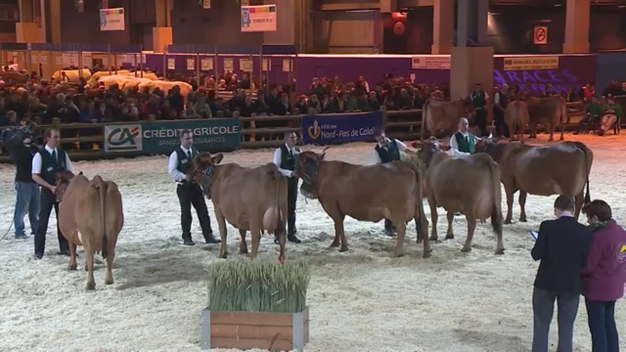 Concours race Tarentaise