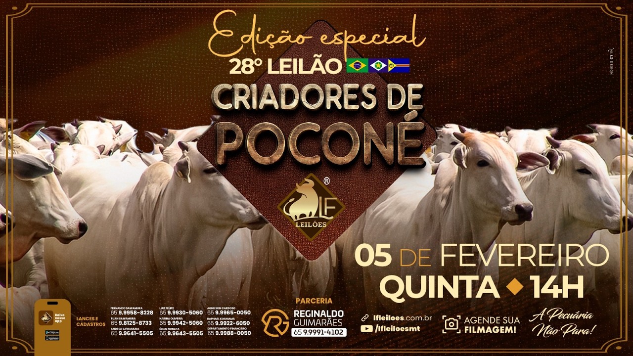28º  Leilão Digital CRIADORES DE POCONÉ  05 02 2026 14:00 horas.