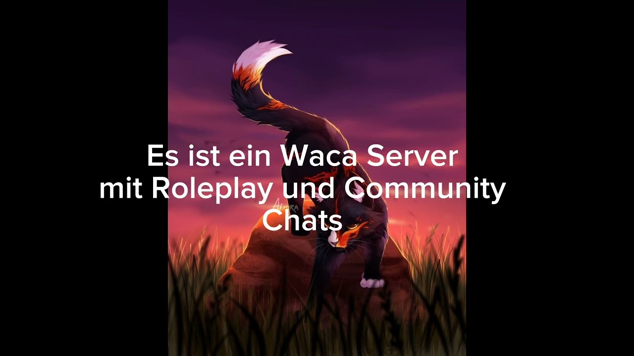Mein neuer Discord Server