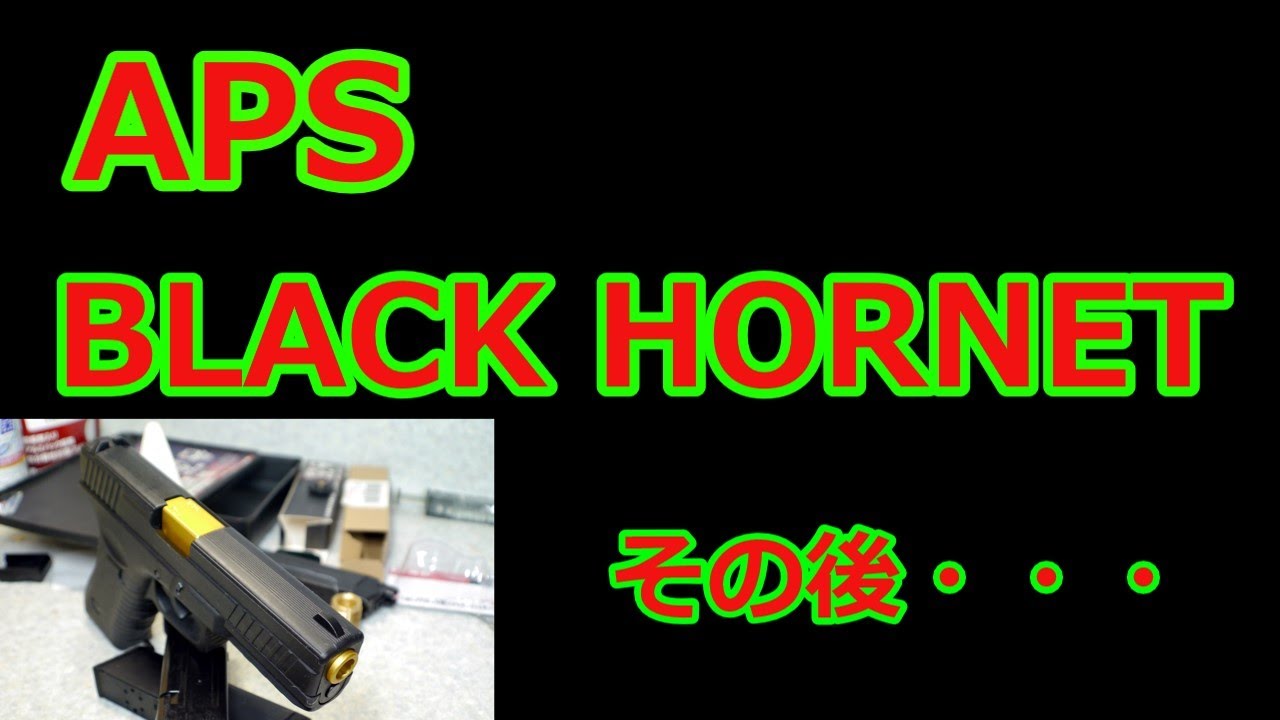 [ネコと息子と介護の疲労とエアガンと] APS BLACK HORNETその後・・・ の巻  Vol,206
