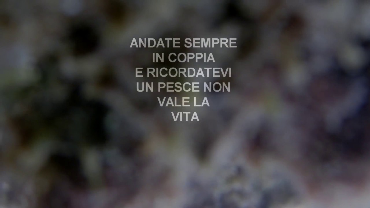 SINCOPE ... IL MIRACOLO....