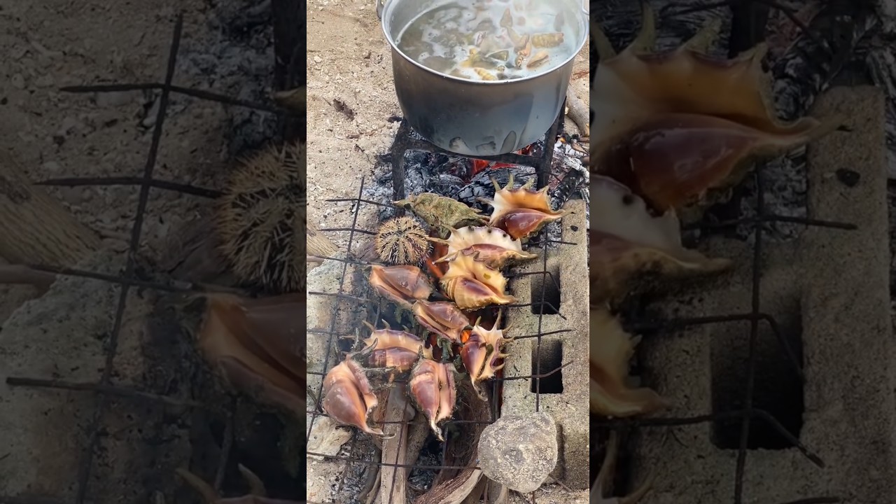 Coastal Feast: Catching & Cooking Wild Sea Shells & Sea Urchins | Catch & Cook Ocean-to-Table!