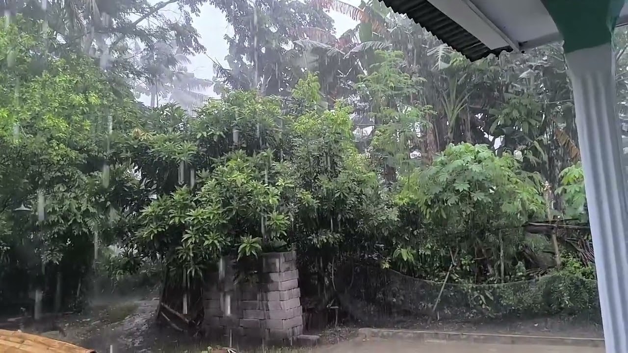 HEAVY RAIN IN VILLAGE - DEEP SLEEP AND RELAXATION ||  Goodbye insomnia