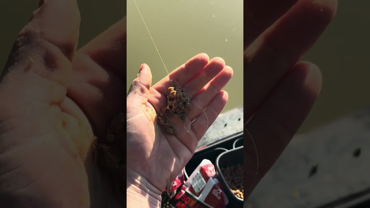 💫𝗟𝗢𝗔𝗗 𝗧𝗛𝗘 𝗛𝗬𝗕𝗥𝗜𝗗 𝗙𝗘𝗘𝗗𝗘𝗥 𝗟𝗜𝗞𝗘 𝗔 𝗣𝗥𝗢: NEW Powerfully Thick Sensate&trade; Fish Accelerant on Method feeders
