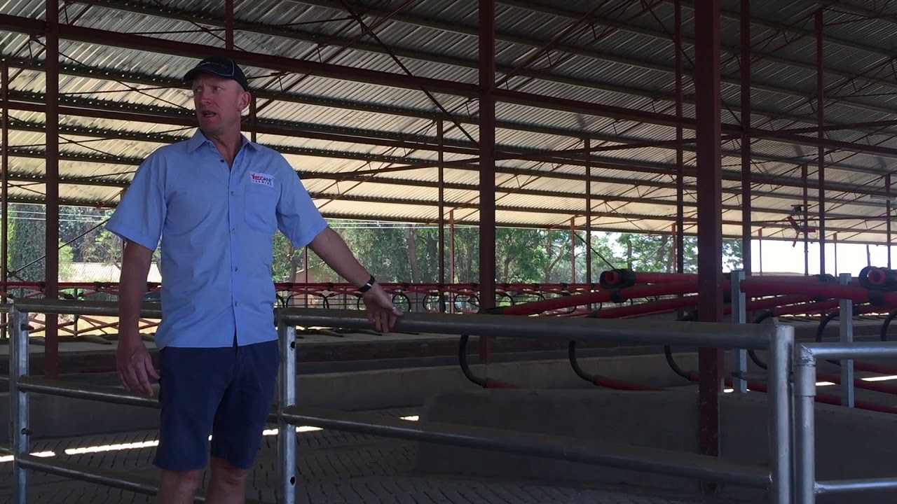 Part 4 of Building a Free Stall Barn