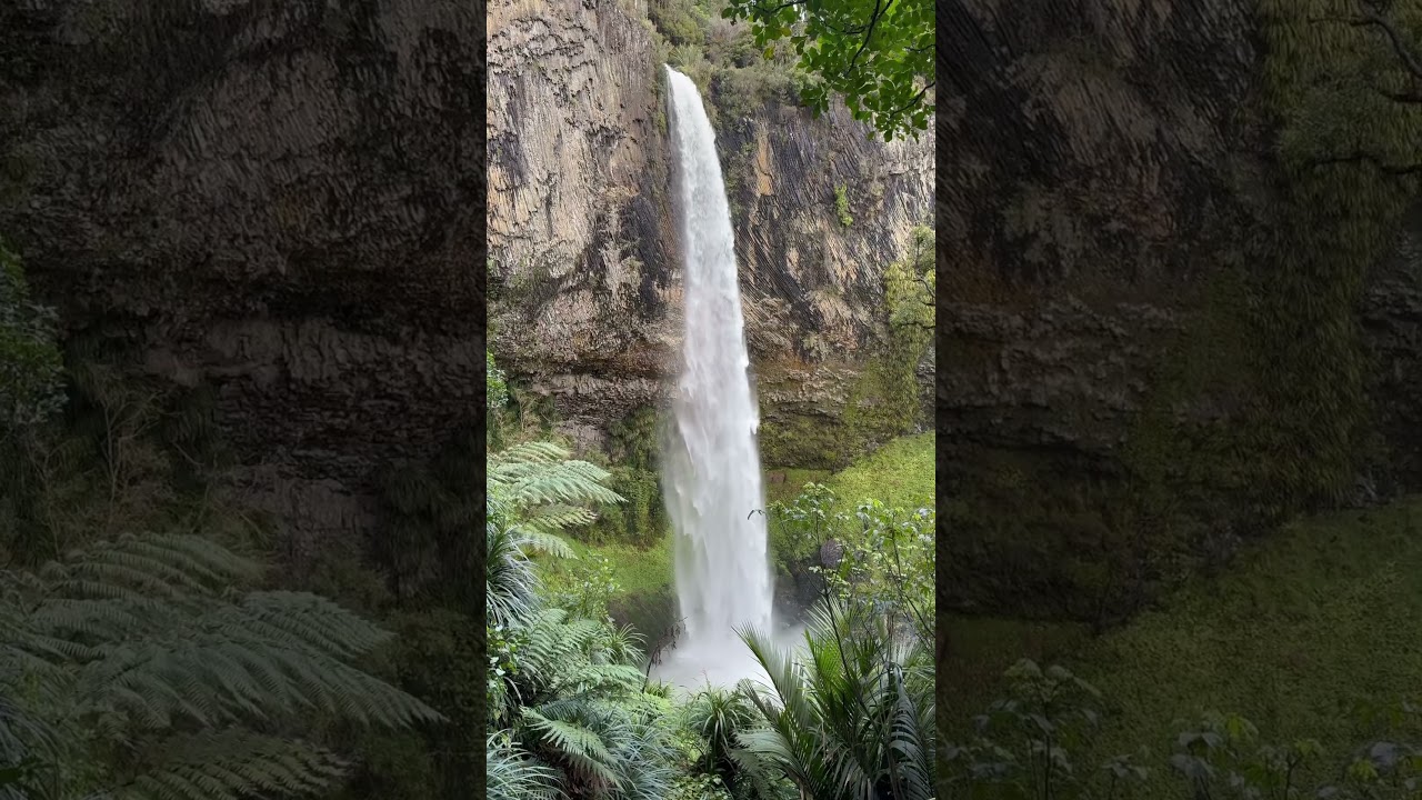 #bridalveilfalls #nz #newzealandwaterfalls #waterfalls #dontgochasingwaterfalls #newzealandnature