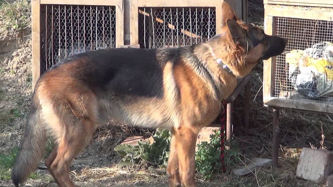 Včelí farma Koblížek