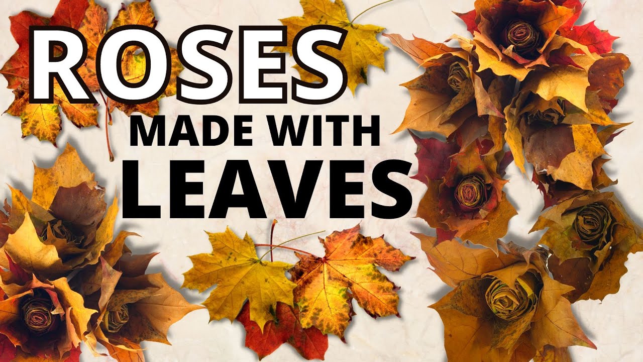 Roses Made Out Of Leaves - Easy DIY - Fall DIY - Autumn DIY