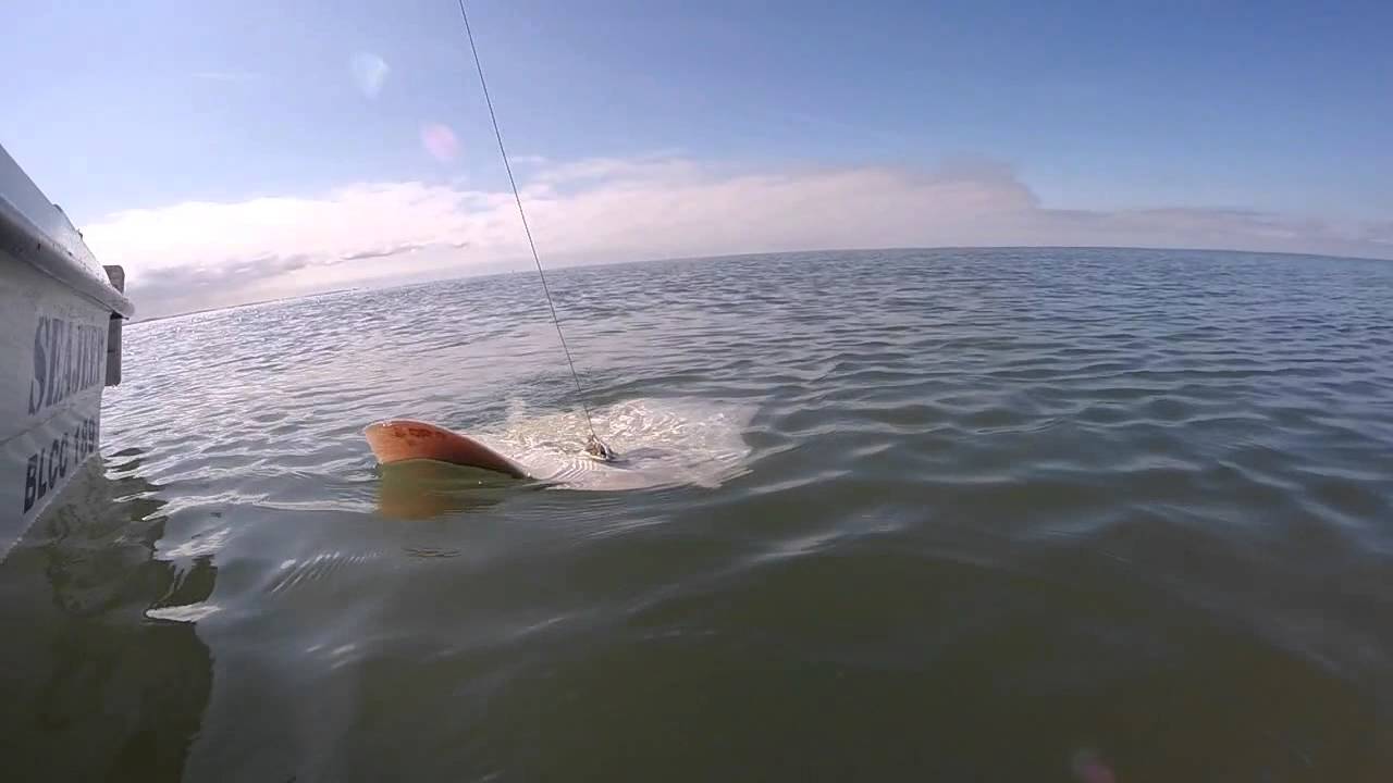 Wind farm fishing trip. 54 miles. Irish sea. From blackpool