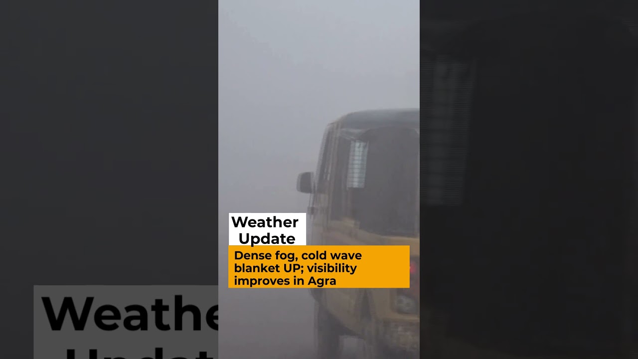 Dense fog, cold wave blanket UP; visibility improves in Agra