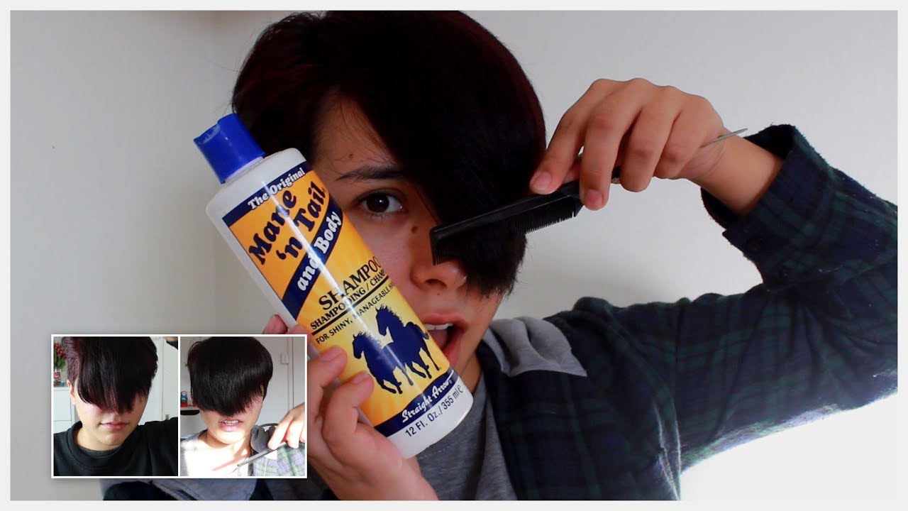 Mi experiencia usando Shampoo de Caballo ♥ Review