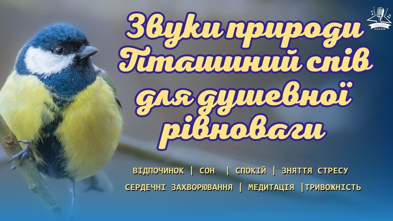 7 годин  пташиного співу |  Зниження стресу та тривожності | Кращий сон: