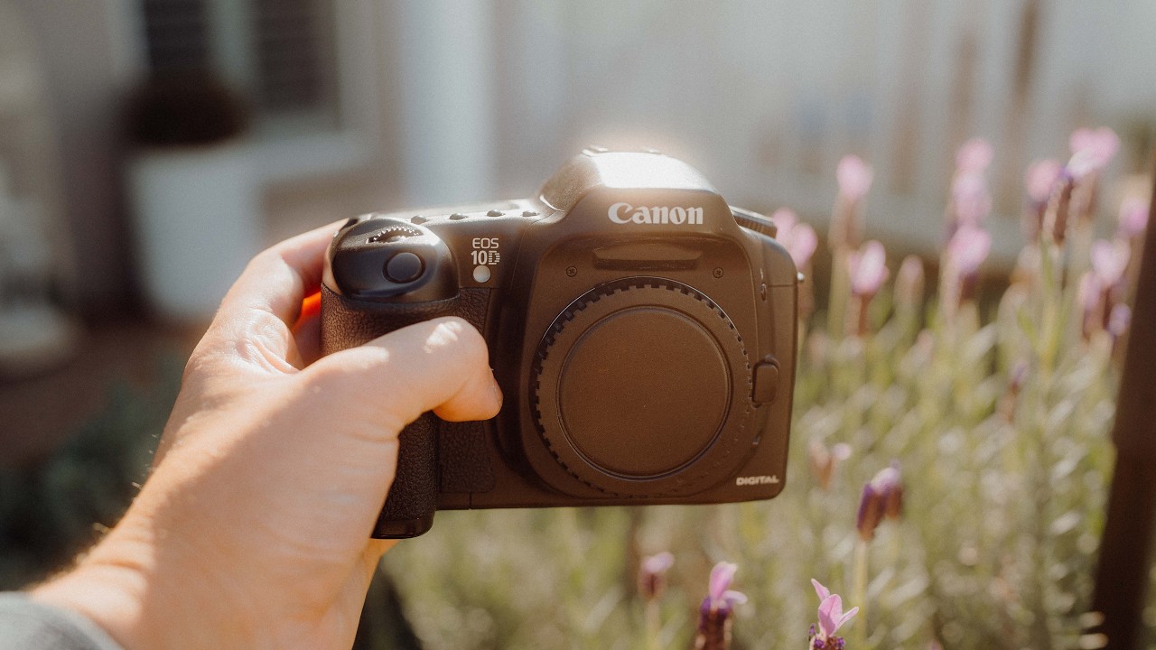 I Used a 20 Year Old Camera for 14 Days