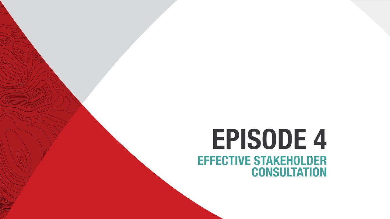 4: Effective Stakeholder Consultation