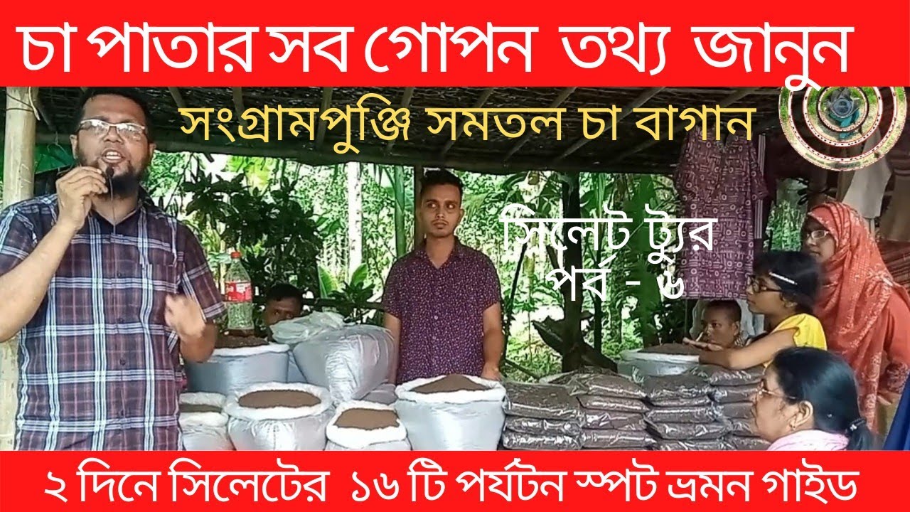 চা পাতার ভালো মন্দ জানুন||সিলেট ভ্রমন পর্ব-৬/১৬||জাফলং সংগ্রামপুঞ্জি সমতল চা বাগান||Tea Garden