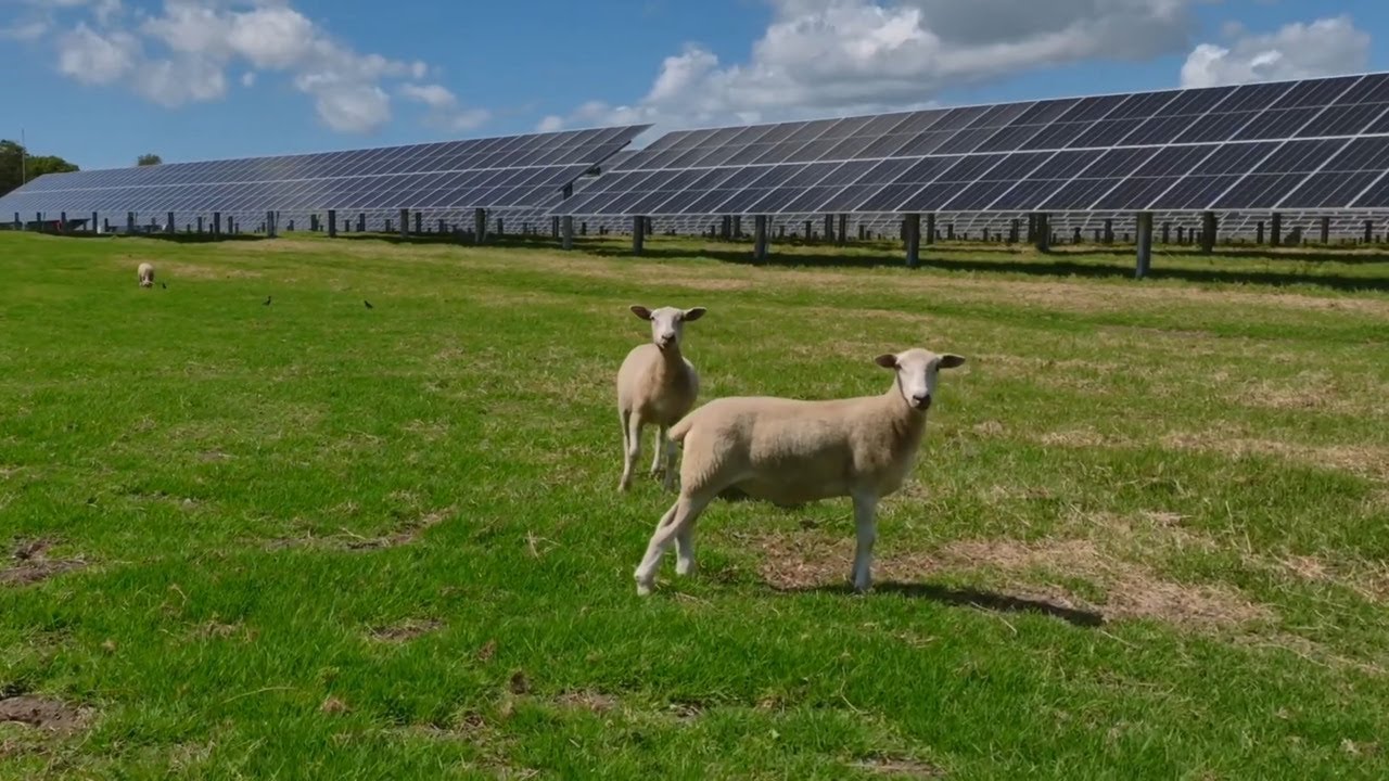 Lodestone Energy Uses Emerson's Ovation™ Automation Platform