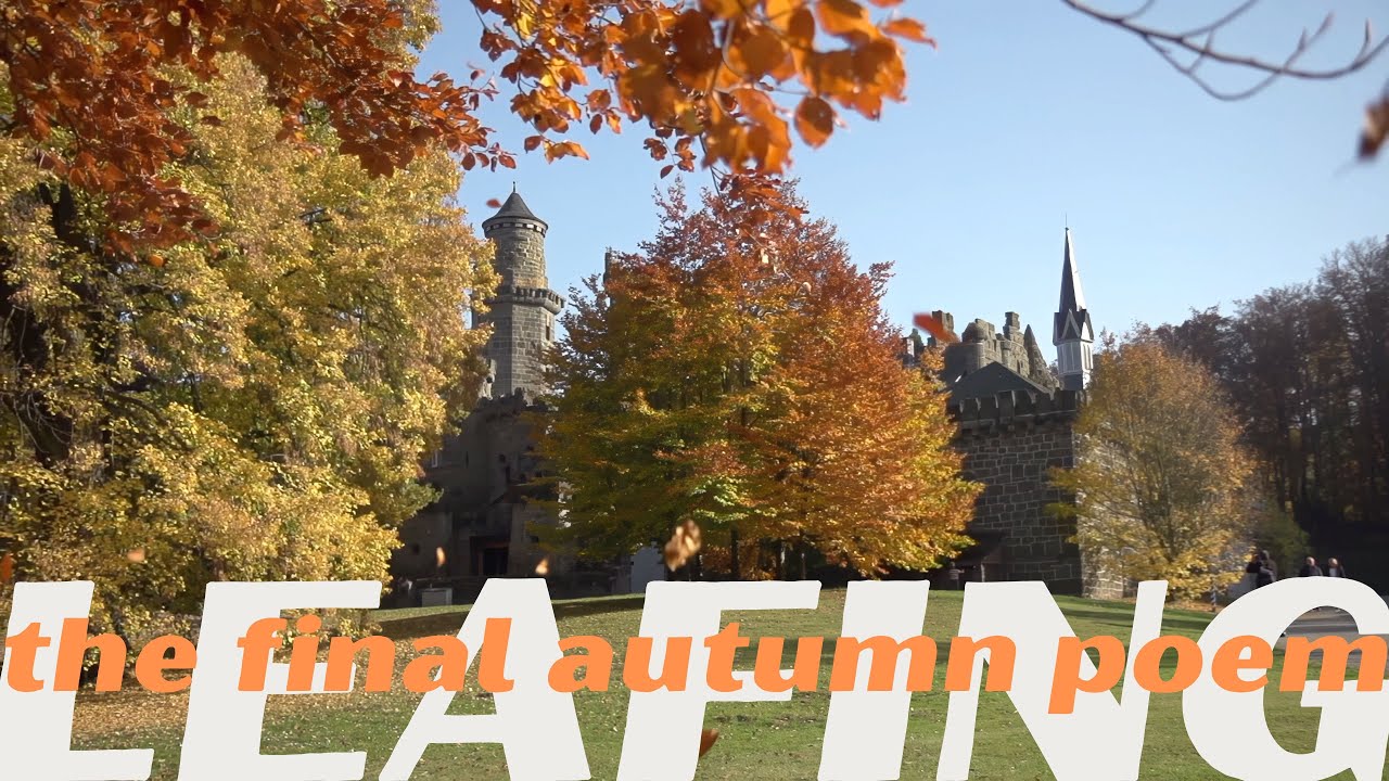 artort.tv - Leafing &ndash; the final autumn poem