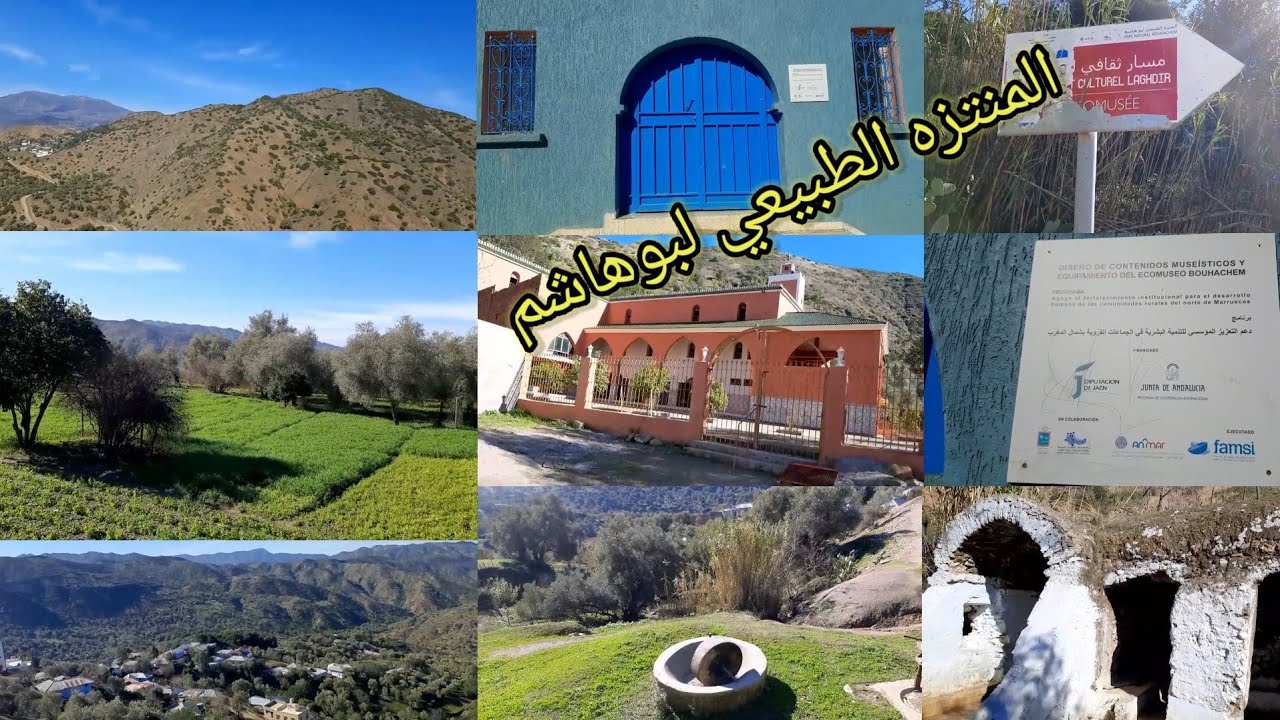 جولة في احد مسارات المنتزه الطبيعي لبوهاشم مسار تيفراون جماعة لغدير إقليم شفشاون💯أهم مسار سياحي👌