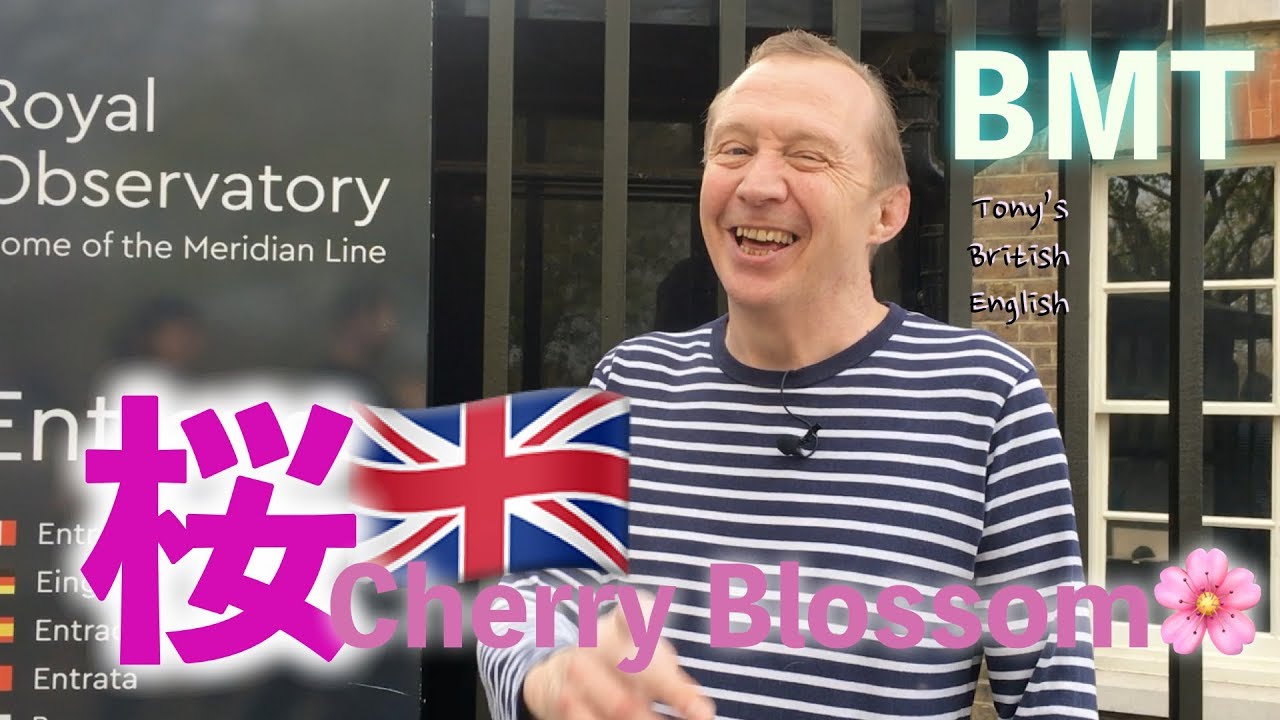 イギリスの桜と王立天文台(Cherry blossom & Royal Observatory )