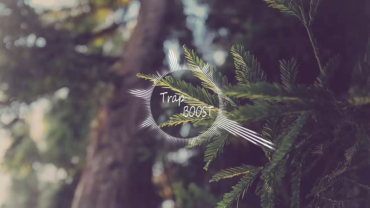 Zaitex - Shadows