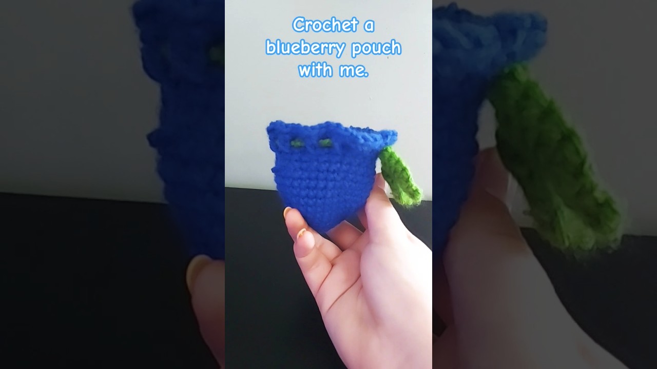 Blueberry pouch.#crochet #handmade #cute