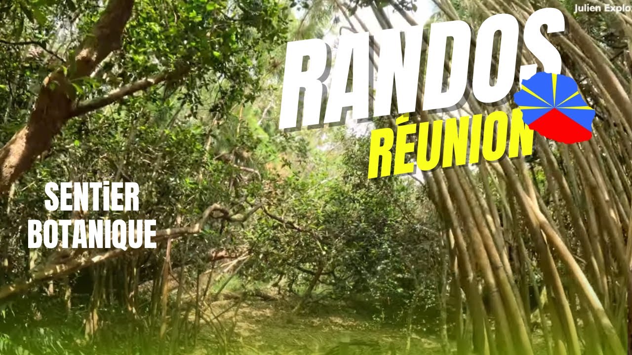 🇷🇪Rando🥾LE SENTIER BOTANIQUE du Piton de la ravine blanche #randonnée #iledelareunion  #travel