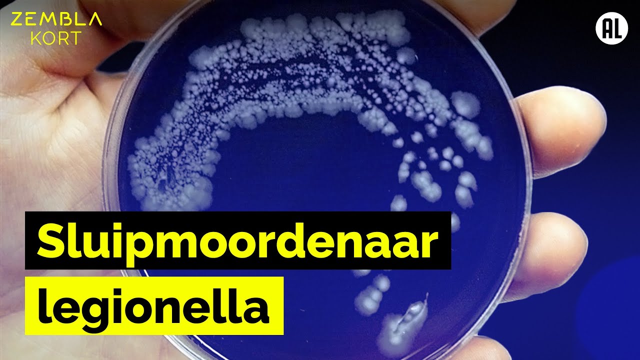 Onvoldoende beschermd tegen legionella | Zembla