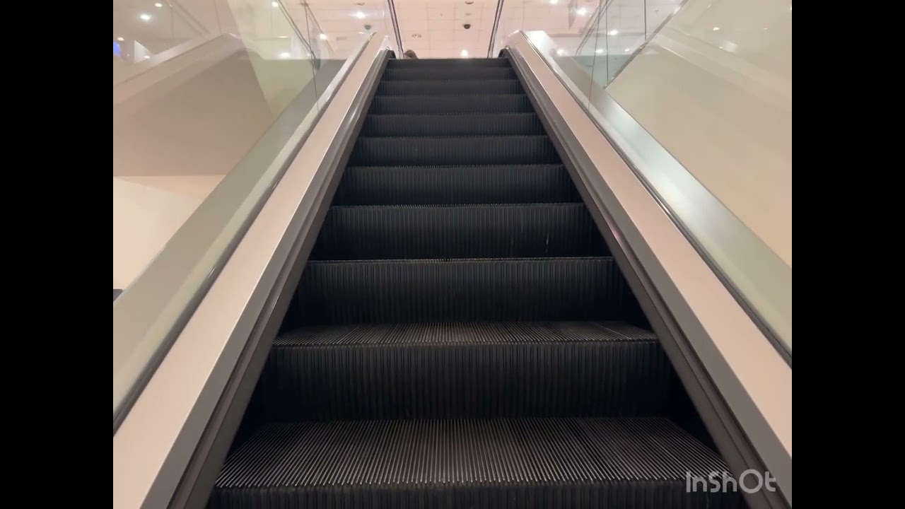 I went to house of Fraser