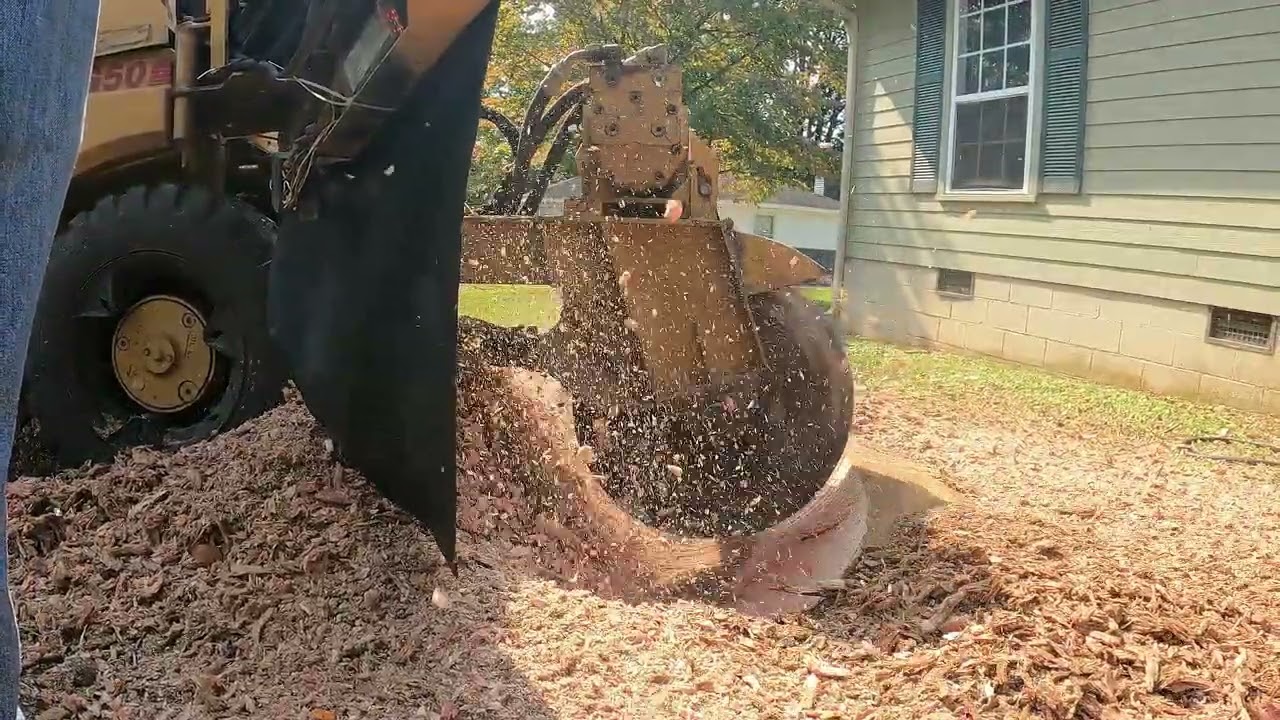 &ldquo;Sycamore Stump Grinding Made Easy | Watch This Grinder Work&rdquo;