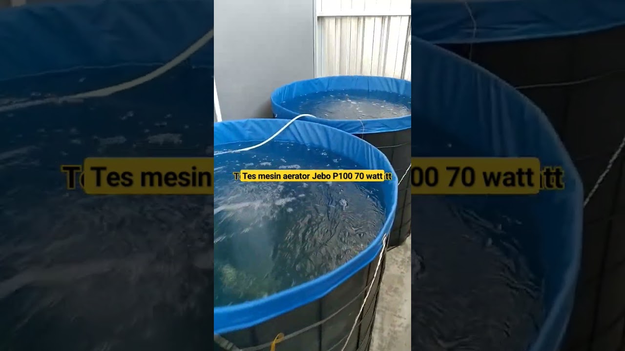 Tes Aerator Jebo P100