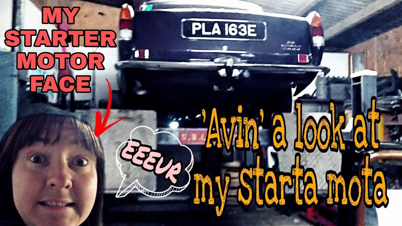 ROVER P6 Стартер: общение и скрипка.
