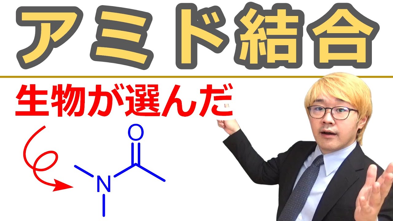 【大学有機化学】アミド結合の合成＆性質：高い安定性と合成容易さを兼ねそろえたカルボニル化合物