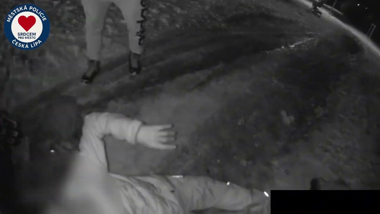 ZRANĚNÉMU SENIOROVI PŘIVOLAL ŠTĚKÁNÍM POMOC JEHO PES
